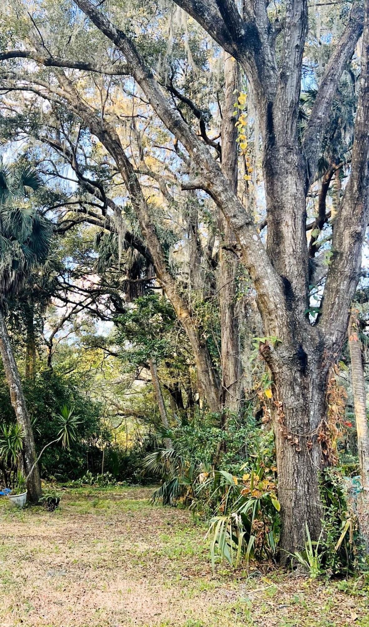 Country Welcome Micanopy Екстериор снимка
