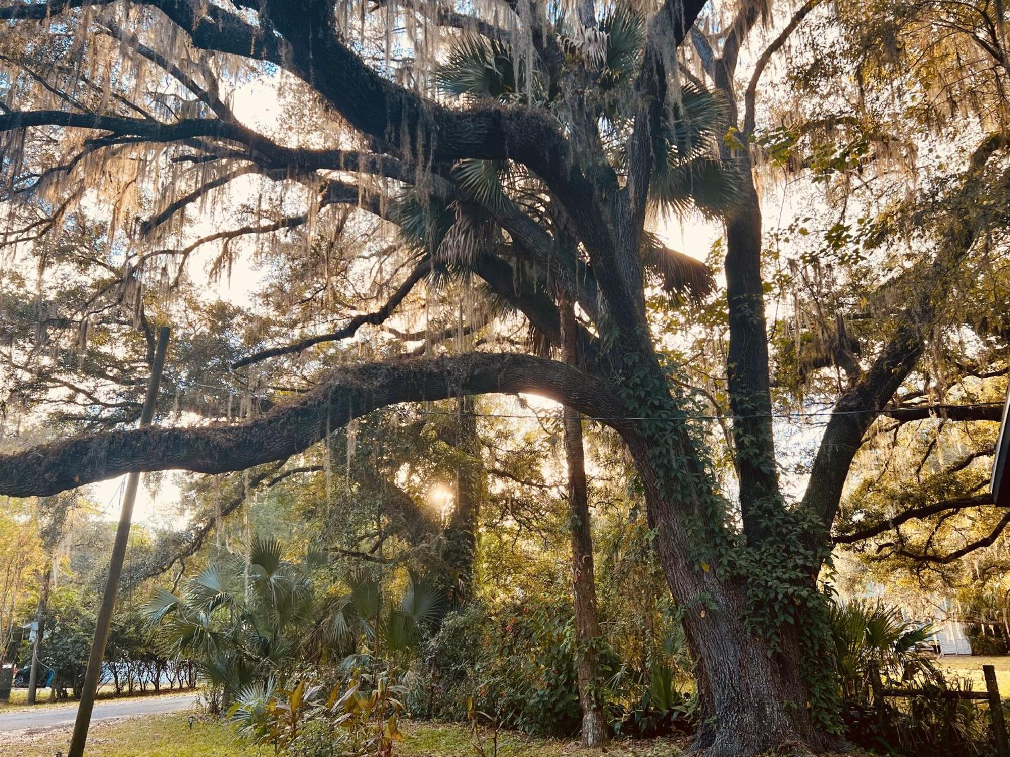 Country Welcome Micanopy Екстериор снимка